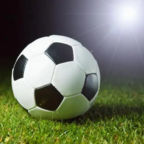 简单四步快速上手